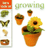 Growing