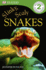 Slinky, Scaly Snakes!