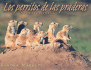 Los Perritos de Las Praderas
