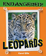 Leopards