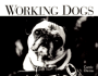 Working Dogs