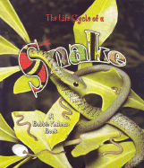 The Life Cycle of a Snake