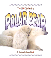 The Life Cycle of a Polar Bear
