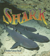 The Life Cycle of a Shark