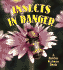Insects in Danger