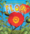 El Ciclo de Vida de la Flor