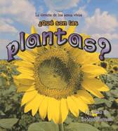 Que Son Las Plantas?
