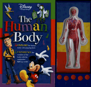 The Human Body