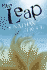 The Leap