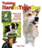 Training the Hard to Train Dog: Effective Training Techniques for Working with Shy, Controlling, and Stubborn Dogs