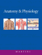 Anatomy & Physiology