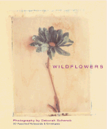 Wildflowers: Deluxe Notecards