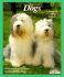 Dogs: How to Take Care of Them and Understand Them