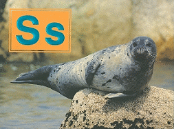 Ss
