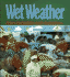 Wet Weather: Rain Showers and Snowfall