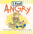 I Feel Angry