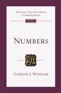 Numbers: An Introduction and Commentary