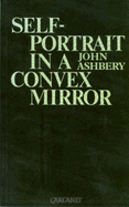 Self-portrait in a convex mirror