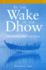 In the Wake of the Dhow: The Arabian Gulf and Oman