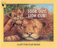 Look Out, Lion Cub!: A Lift-the-flap Book