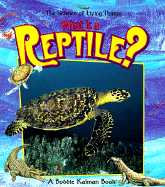 What is a Reptile?