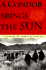 A Condor Brings the Sun: A Novel