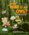 How Wise is an Owl?: The Strange Things People Say about Animals in the Woods