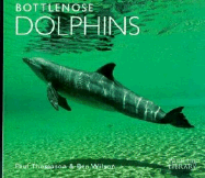 Bottlenose Dolphins