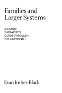 Families and Larger Systems: A Family Therapist's Guide Through the Labyrinth