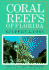 Coral Reefs of Florida