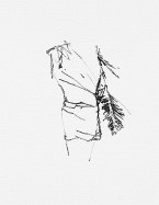Brice Marden: Works on Paper 1964 - 2001