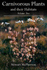 Carnivorous Plants and Their Habitats: v. 2