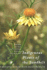 Indigenous Plants of the Sandbelt: A Gardening Guide for South-Eastern Melbourne
