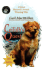 Ceilidh's Quest