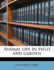 Animal life in field and garden
