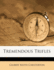 Tremendous Trifles