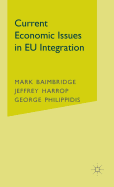 Current Economic Issues in Eu Integration