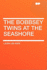 The Bobbsey Twins at the Seashore