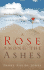 A Rose Among the Ashes