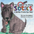 Matilda Private Eye: The Case of the Missing Socks