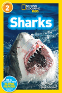 Sharks!