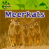 Meerkats (Amazing Animals)
