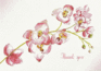 Orchid Thank You Notes