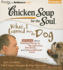 Chicken Soup for the Soul: What I Learned from the Dog - 36 Stories about Putting Things in Perspective, Kindness, and Unconditional Love