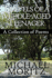 Travels of a Middle-Aged Teenager: A Collection of Poems