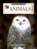 Animals (Hands-On Minds-On Science Series)