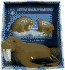 Little Walrus Warning