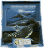 Humpback Goes North: Micro Book with Toy