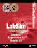MCSE Windows 2000 Directory Services Labsim: Exam: 70-217