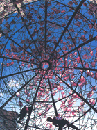 Chihuly in the Light of Jerusalem 2000